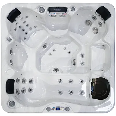Avalon EC-849L hot tubs for sale in Duluth