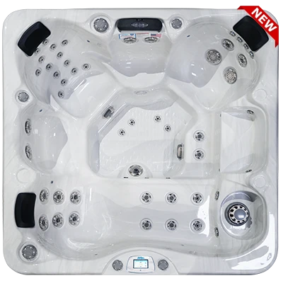 Avalon-X EC-849LX hot tubs for sale in Duluth