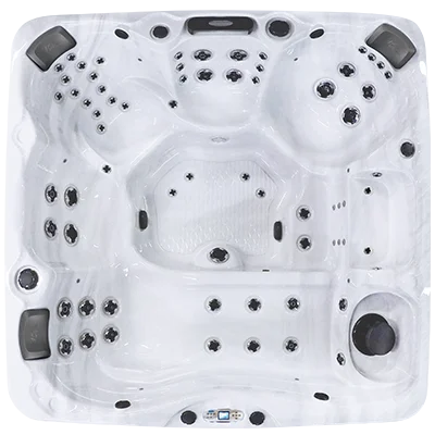 Avalon EC-867L hot tubs for sale in Duluth